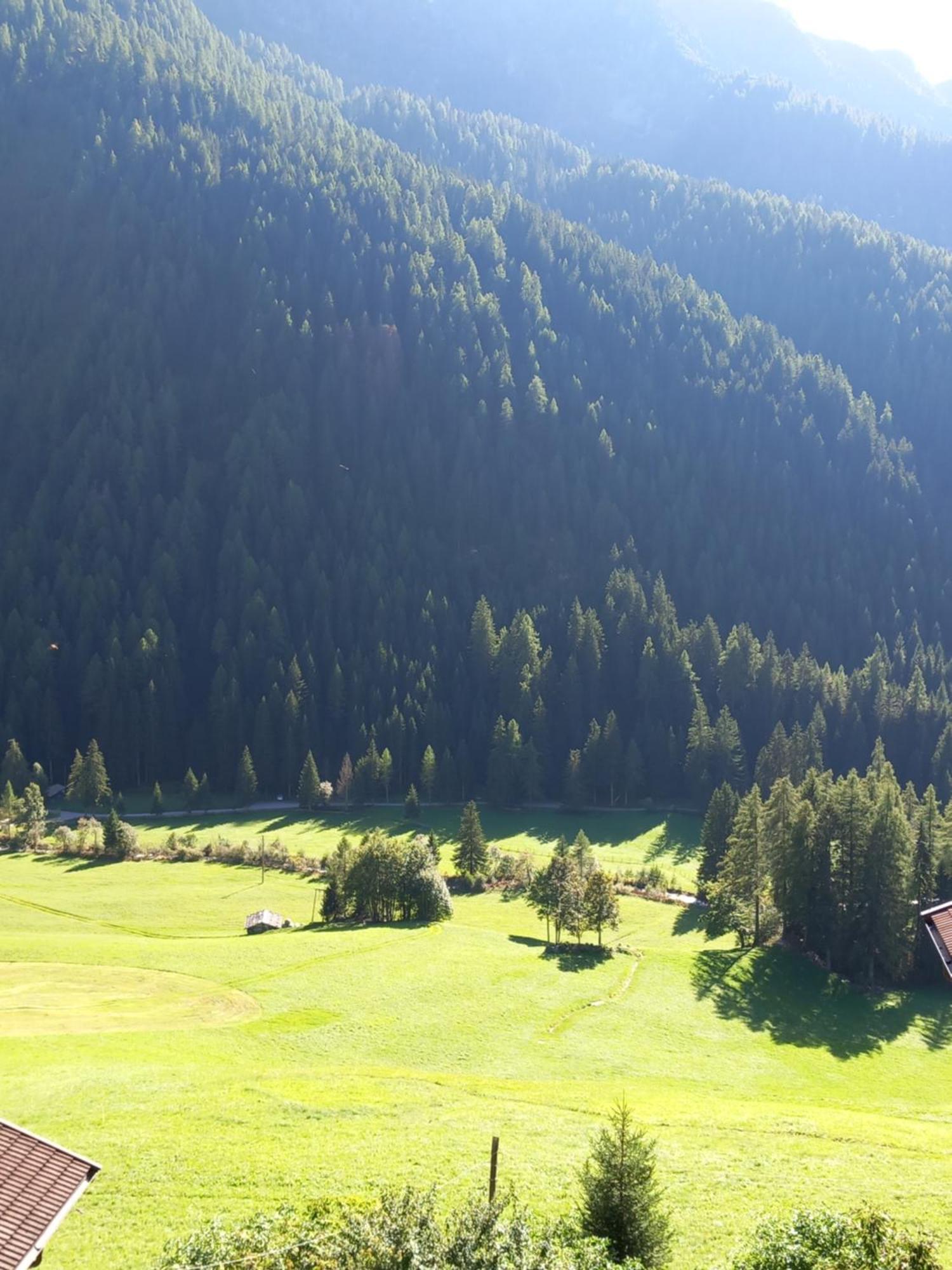 Gasthof Innerwalten Сан-Леонардо-ин-Пассирия Экстерьер фото